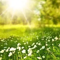 電話占いリエル映満先生