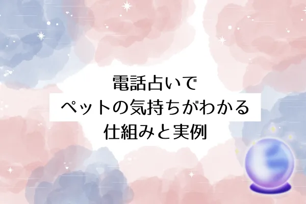 電話占いでペットの気持ちがわかる仕組みと実例