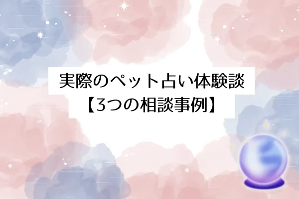 実際のペット占い体験談【3つの相談事例】