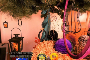 プリンセス魔法占い館 VIViT 相模原.相模大野館