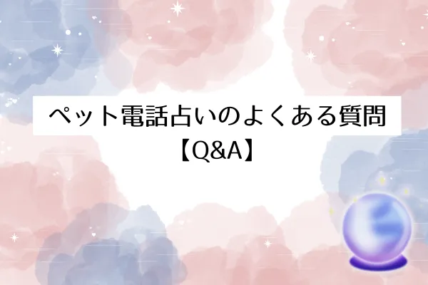 ペット電話占いのよくある質問【Q&A】