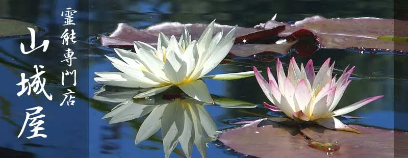 霊能専門店 山城屋の店舗詳細