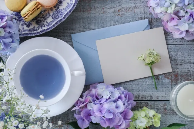 YOMI-よみの占いサロンの店舗詳細