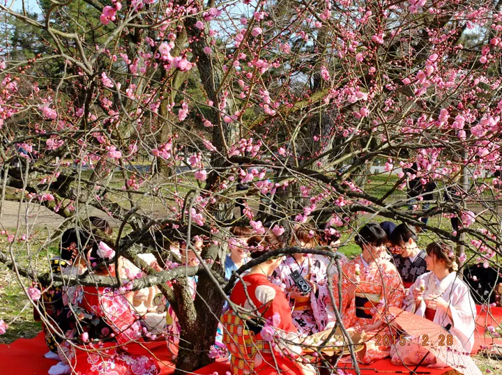 京都占い 易学あやの店舗詳細