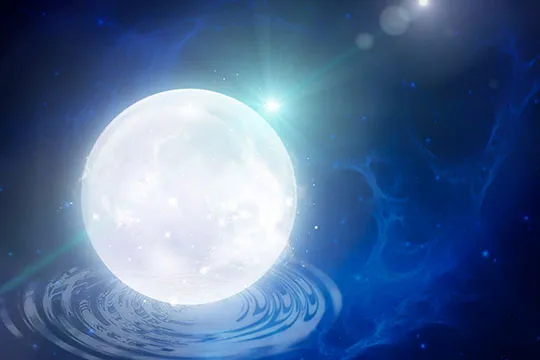 日蓮宗妙法教会の店舗詳細