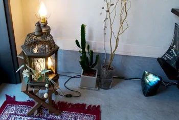 京都占い MIBIRD-ミバード-の店舗詳細