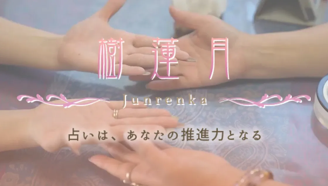 樹蓮月の店舗詳細
