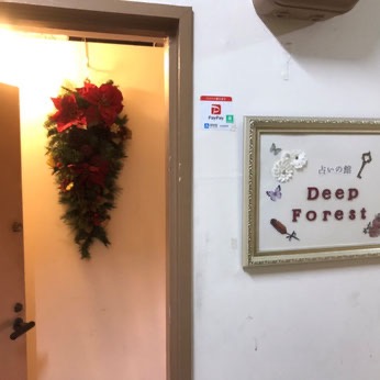 DeepForest|至恩先生